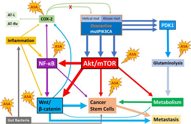 https://cdn.ncbi.nlm.nih.gov/pmc/blobs/f862/11072824/0856372fc5ae/18_2022_4430_Fig4_HTML.jpg