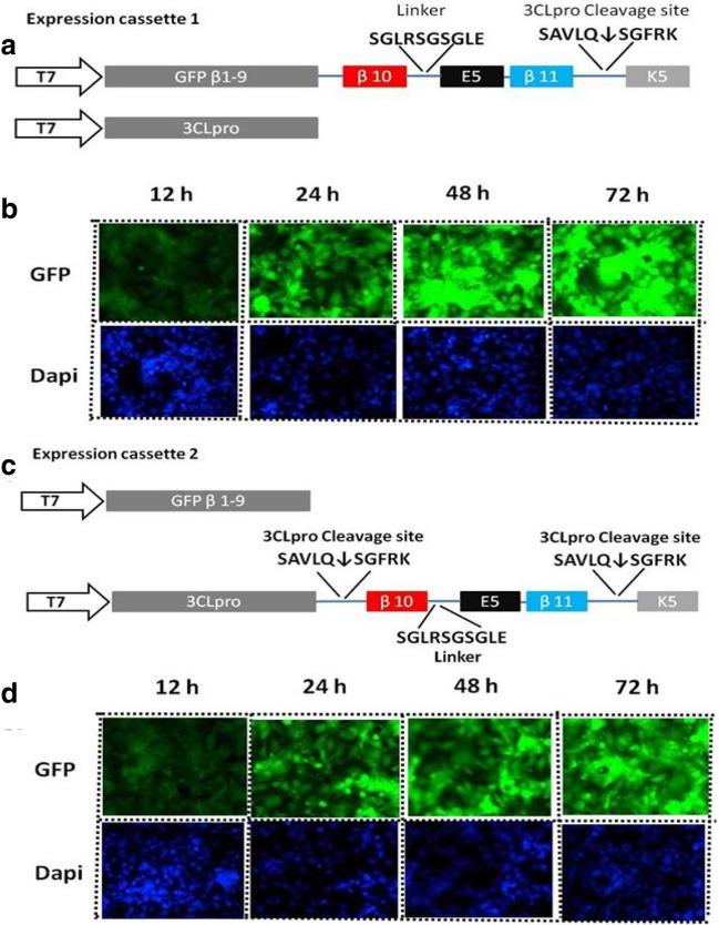https://cdn.ncbi.nlm.nih.gov/pmc/blobs/f862/7814170/0804a6ca8139/12033_2021_299_Fig2_HTML.jpg