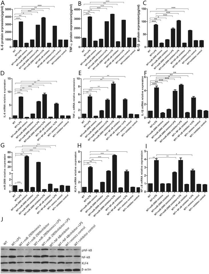 https://cdn.ncbi.nlm.nih.gov/pmc/blobs/f863/6391004/0a25da2f8660/pone.0212063.g011.jpg