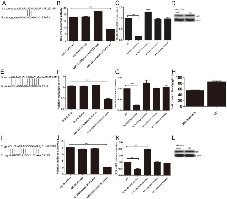 https://cdn.ncbi.nlm.nih.gov/pmc/blobs/f863/6391004/39c3b1c029d1/pone.0212063.g006.jpg