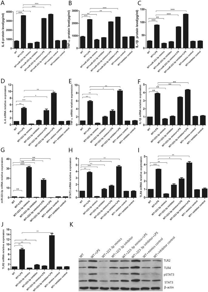 https://cdn.ncbi.nlm.nih.gov/pmc/blobs/f863/6391004/3f5a2cd3f287/pone.0212063.g007.jpg