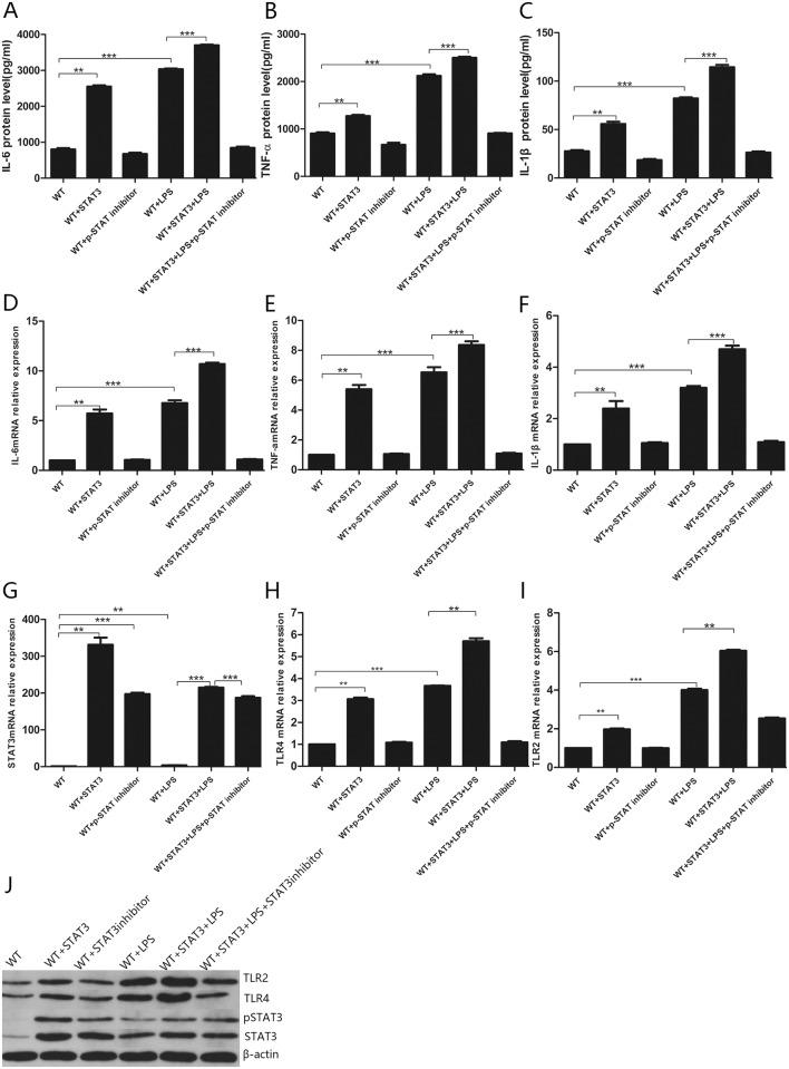 https://cdn.ncbi.nlm.nih.gov/pmc/blobs/f863/6391004/5485e23d3873/pone.0212063.g009.jpg