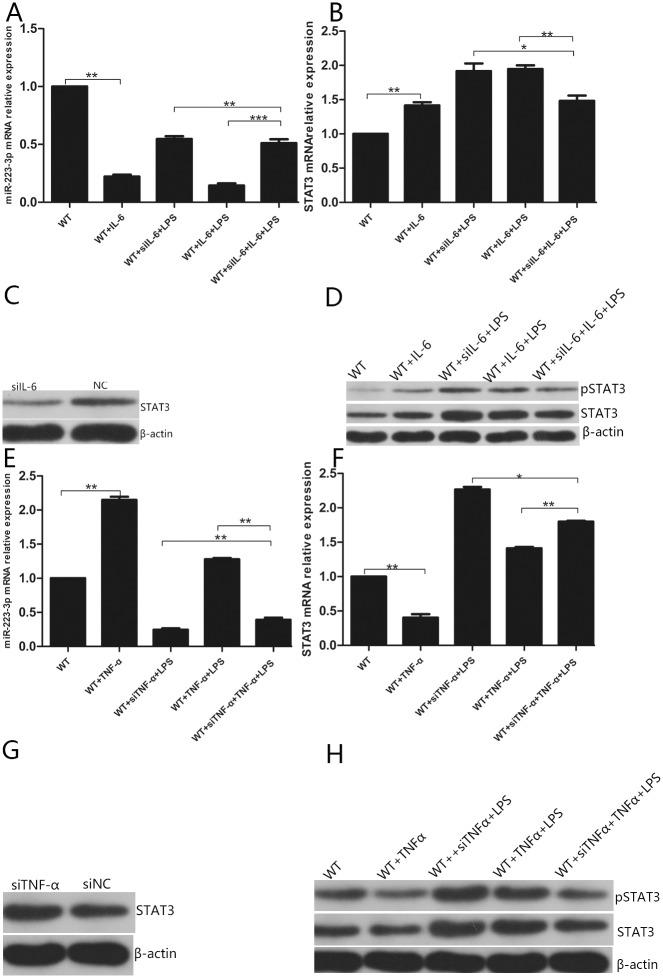 https://cdn.ncbi.nlm.nih.gov/pmc/blobs/f863/6391004/d5f7488d78af/pone.0212063.g010.jpg
