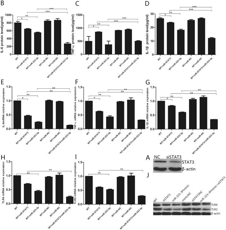 https://cdn.ncbi.nlm.nih.gov/pmc/blobs/f863/6391004/fa2b32c84234/pone.0212063.g008.jpg
