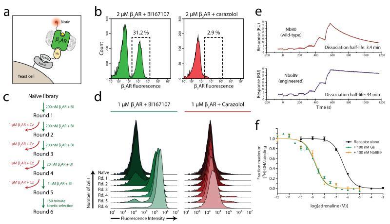 https://cdn.ncbi.nlm.nih.gov/pmc/blobs/f864/3822040/c57a7af6a5e9/nihms-515752-f0001.jpg