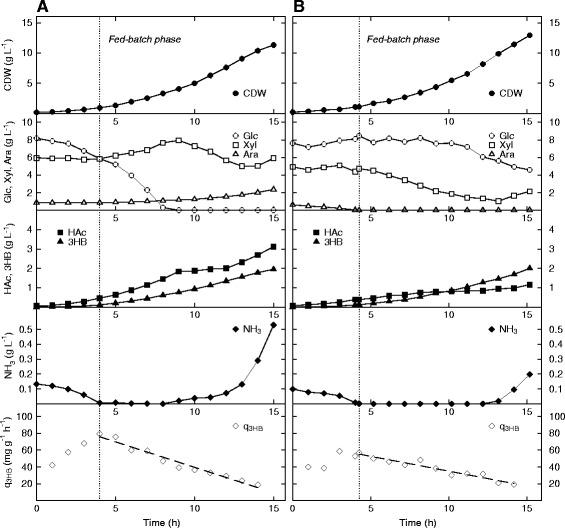 https://cdn.ncbi.nlm.nih.gov/pmc/blobs/f864/4405896/4371158b8507/12934_2015_236_Fig6_HTML.jpg