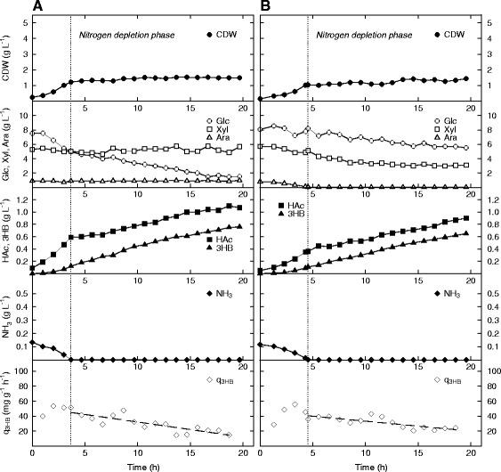 https://cdn.ncbi.nlm.nih.gov/pmc/blobs/f864/4405896/e82a8df3d239/12934_2015_236_Fig5_HTML.jpg