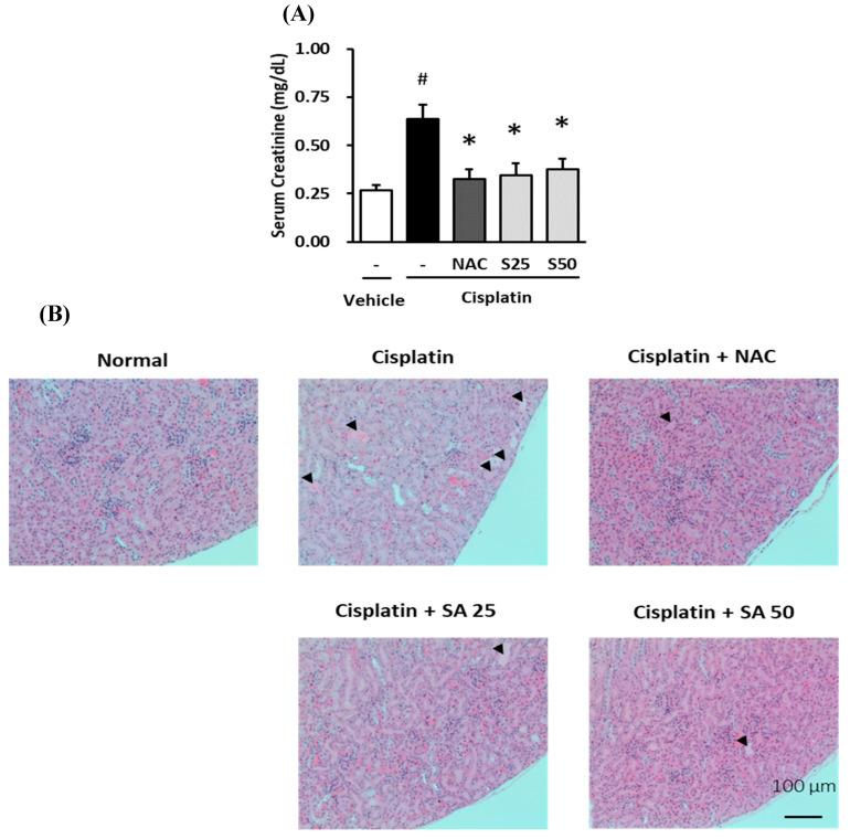 https://cdn.ncbi.nlm.nih.gov/pmc/blobs/f864/7759863/a91b19aff9c7/plants-09-01681-g008.jpg