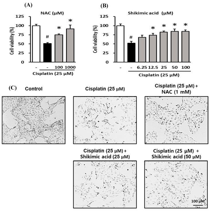 https://cdn.ncbi.nlm.nih.gov/pmc/blobs/f864/7759863/dea1ffbe5965/plants-09-01681-g005.jpg