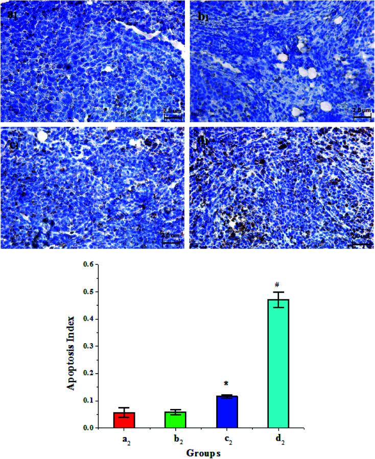 https://cdn.ncbi.nlm.nih.gov/pmc/blobs/f864/9074749/05e6486ac6df/c9ra06437k-f8.jpg