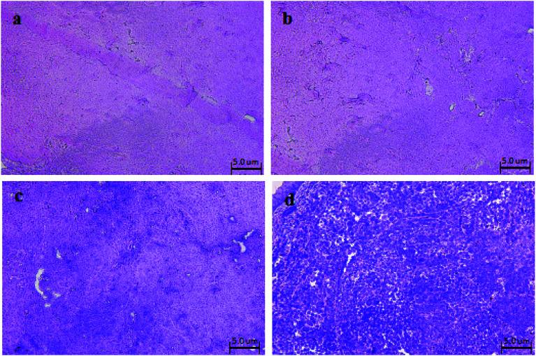 https://cdn.ncbi.nlm.nih.gov/pmc/blobs/f864/9074749/588795968b9f/c9ra06437k-f6.jpg