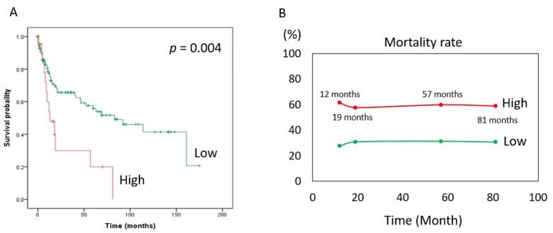 https://cdn.ncbi.nlm.nih.gov/pmc/blobs/f866/9221628/1242b5d0b53e/diagnostics-12-01502-g002.jpg
