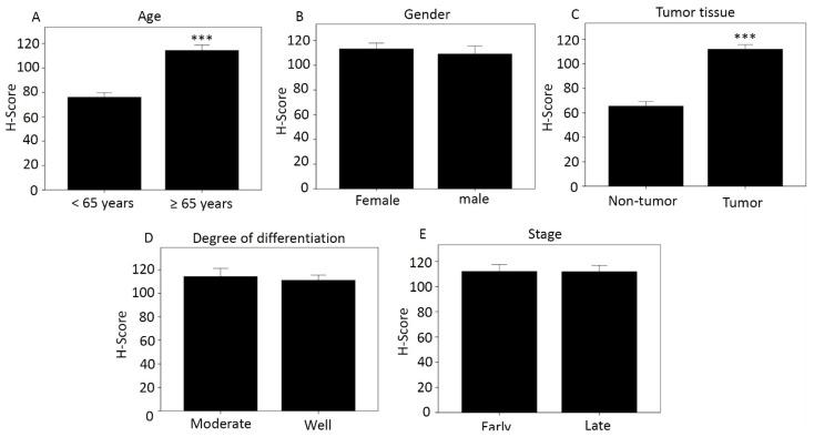 https://cdn.ncbi.nlm.nih.gov/pmc/blobs/f866/9221628/646f739cf270/diagnostics-12-01502-g001.jpg