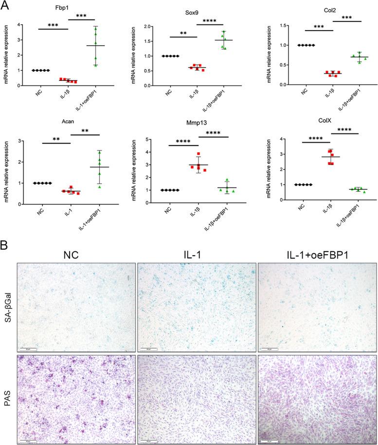 https://cdn.ncbi.nlm.nih.gov/pmc/blobs/f869/10694907/3b7e877fa433/13075_2023_3221_Fig2_HTML.jpg