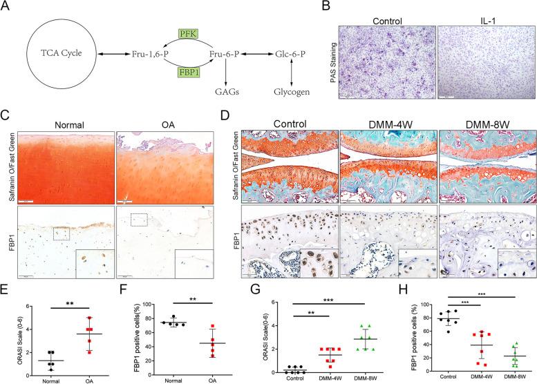 https://cdn.ncbi.nlm.nih.gov/pmc/blobs/f869/10694907/81893545aca0/13075_2023_3221_Fig1_HTML.jpg