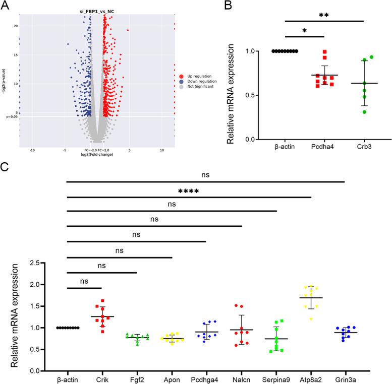 https://cdn.ncbi.nlm.nih.gov/pmc/blobs/f869/10694907/8df7d59d8ccf/13075_2023_3221_Fig4_HTML.jpg