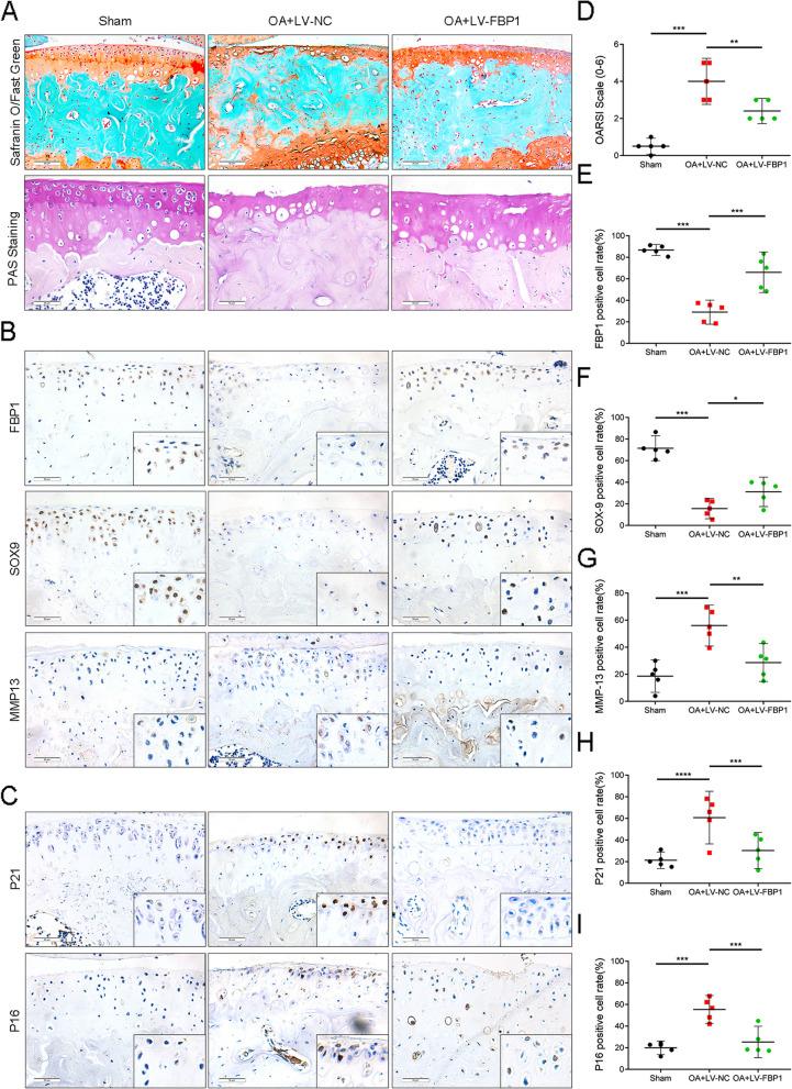 https://cdn.ncbi.nlm.nih.gov/pmc/blobs/f869/10694907/b206545a3e4b/13075_2023_3221_Fig3_HTML.jpg