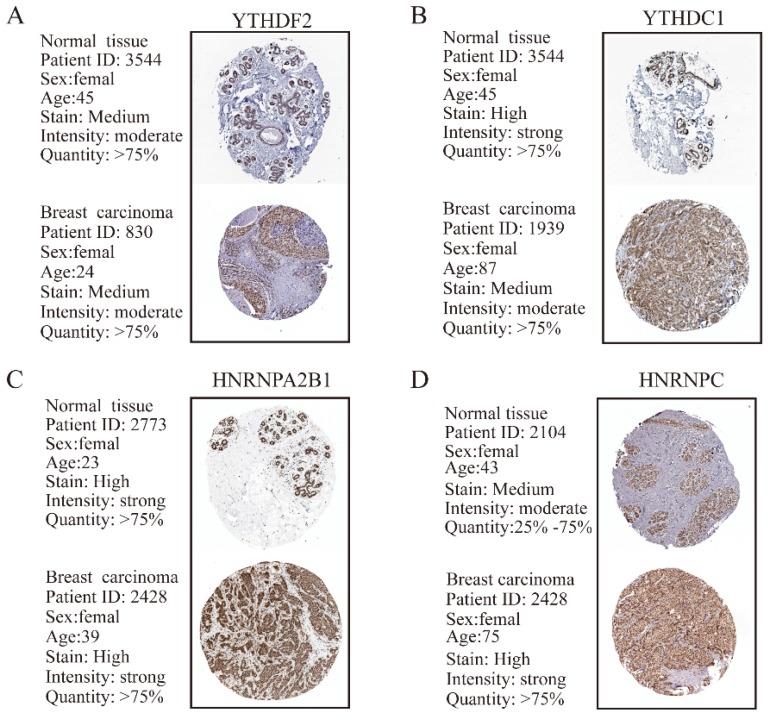 https://cdn.ncbi.nlm.nih.gov/pmc/blobs/f869/6775703/7698102907d9/jcav10p5447g005.jpg