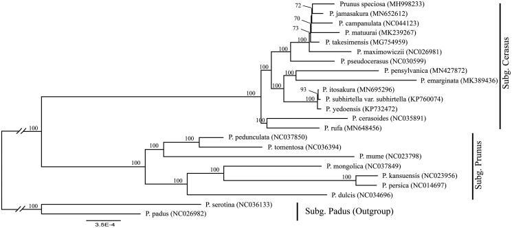 https://cdn.ncbi.nlm.nih.gov/pmc/blobs/f86a/7748579/f78e08281895/TMDN_A_1699459_F0001_B.jpg