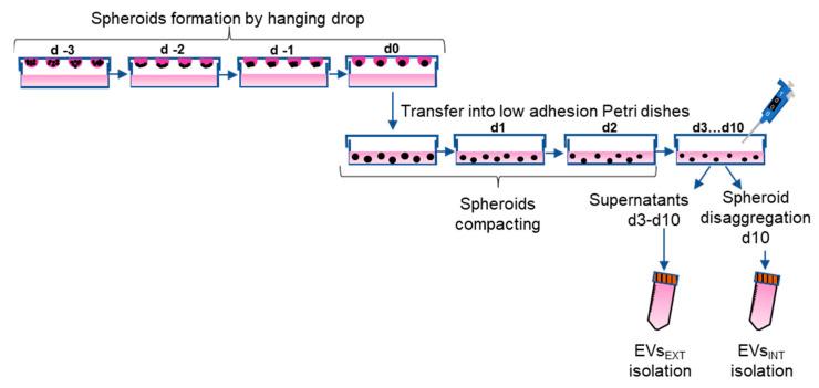https://cdn.ncbi.nlm.nih.gov/pmc/blobs/f86a/9569704/b968a88964ce/ijms-23-11782-g001.jpg