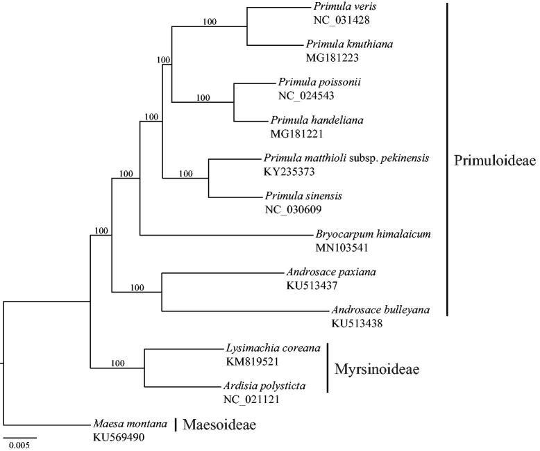 https://cdn.ncbi.nlm.nih.gov/pmc/blobs/f86c/7706784/29a46502a2a8/TMDN_A_1666043_F0001_B.jpg
