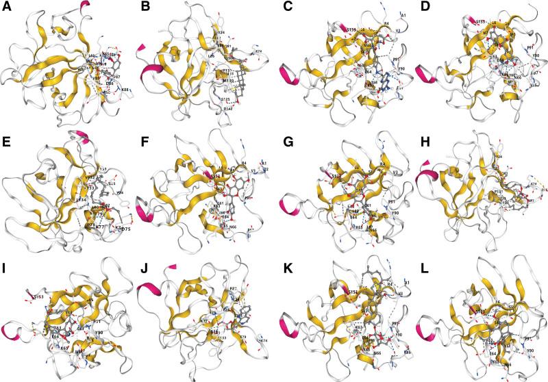 https://cdn.ncbi.nlm.nih.gov/pmc/blobs/f86e/10994518/4d5731aab5cf/medi-103-e37512-g008.jpg