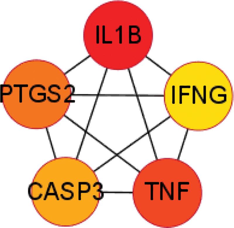https://cdn.ncbi.nlm.nih.gov/pmc/blobs/f86e/10994518/6a0a459ad801/medi-103-e37512-g005.jpg