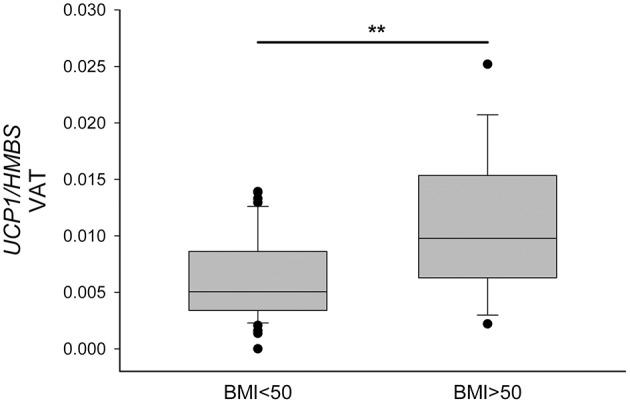 https://cdn.ncbi.nlm.nih.gov/pmc/blobs/f86e/6692889/8a0c22e7d1be/fendo-10-00548-g0004.jpg