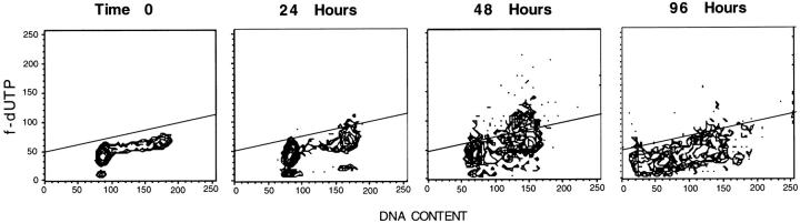https://cdn.ncbi.nlm.nih.gov/pmc/blobs/f873/2138196/12b3f109c702/JCB.18919f7.jpg
