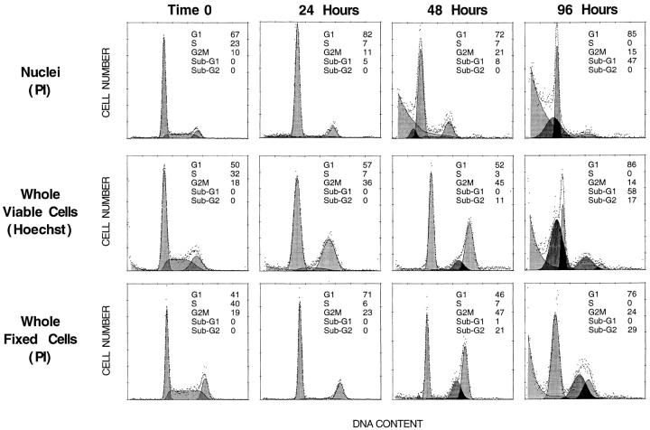 https://cdn.ncbi.nlm.nih.gov/pmc/blobs/f873/2138196/e207acf08ed7/JCB.18919f6.jpg