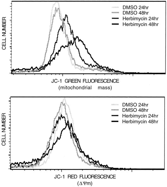 https://cdn.ncbi.nlm.nih.gov/pmc/blobs/f873/2138196/f1d4e2fbe1a9/JCB.18919f8.jpg
