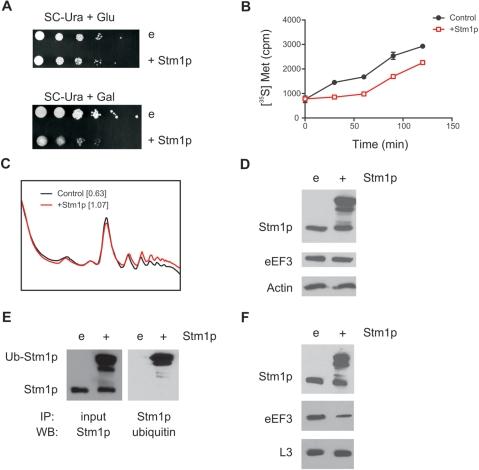 https://cdn.ncbi.nlm.nih.gov/pmc/blobs/f873/2764444/56caa0f405be/gkp645f4.jpg