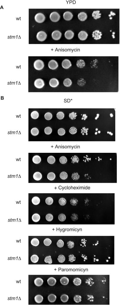 https://cdn.ncbi.nlm.nih.gov/pmc/blobs/f873/2764444/cb58316e9d58/gkp645f1.jpg