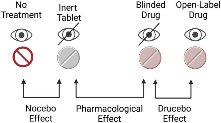 https://cdn.ncbi.nlm.nih.gov/pmc/blobs/f874/9178378/54523828c874/JCSM-13-1596-g007.jpg