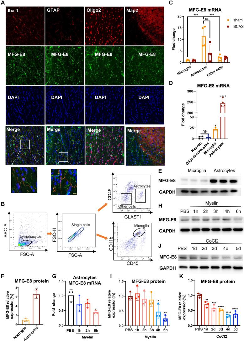 https://cdn.ncbi.nlm.nih.gov/pmc/blobs/f875/11003935/3c1f18c7ad1c/12264_2023_1147_Fig7_HTML.jpg