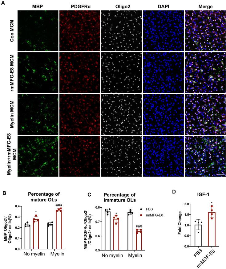 https://cdn.ncbi.nlm.nih.gov/pmc/blobs/f875/11003935/41882996081b/12264_2023_1147_Fig6_HTML.jpg