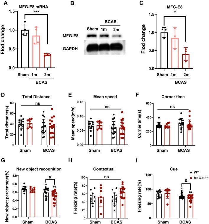 https://cdn.ncbi.nlm.nih.gov/pmc/blobs/f875/11003935/4f8314873ba6/12264_2023_1147_Fig1_HTML.jpg