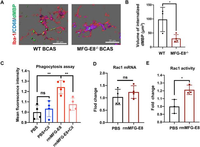 https://cdn.ncbi.nlm.nih.gov/pmc/blobs/f875/11003935/89f75931540d/12264_2023_1147_Fig5_HTML.jpg
