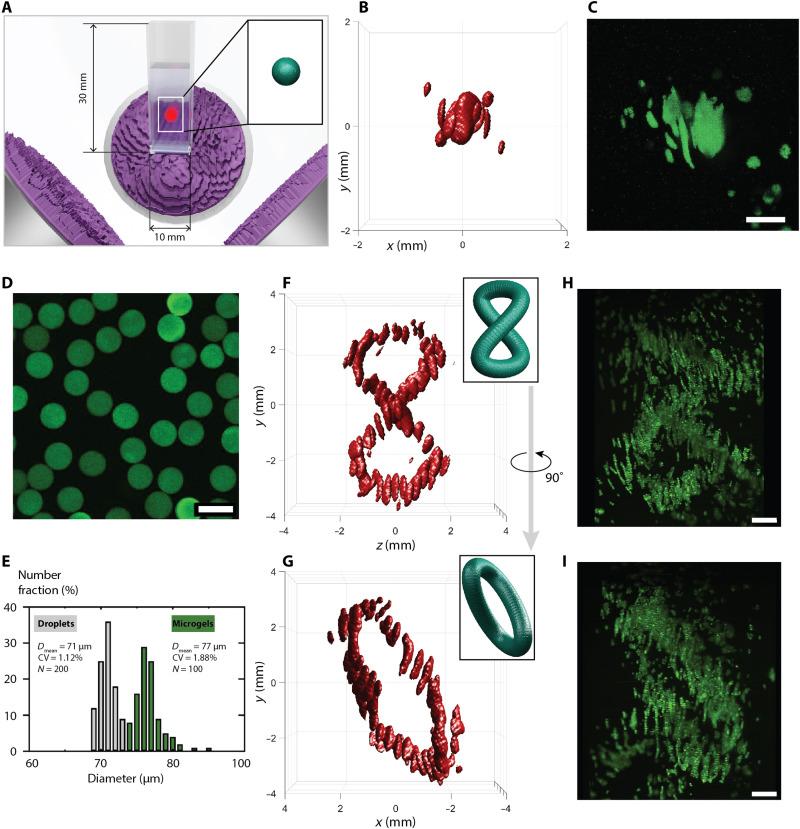 https://cdn.ncbi.nlm.nih.gov/pmc/blobs/f875/9908023/9b8be3d274d9/sciadv.adf6182-f5.jpg