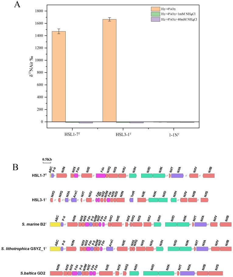 https://cdn.ncbi.nlm.nih.gov/pmc/blobs/f876/12029903/3c369b35580b/microorganisms-13-00713-g003.jpg