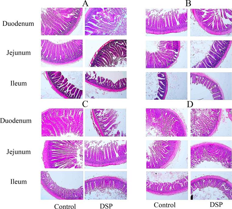 https://cdn.ncbi.nlm.nih.gov/pmc/blobs/f877/10958615/56c24871e3a2/gr6.jpg