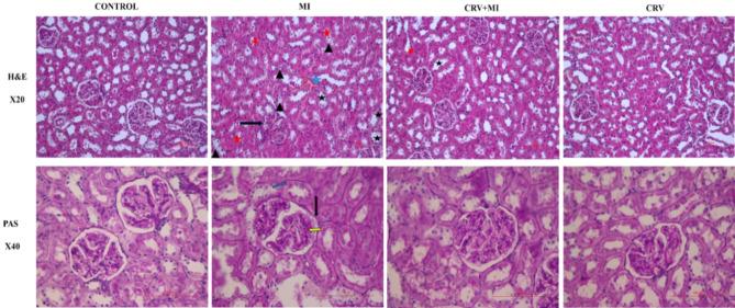https://cdn.ncbi.nlm.nih.gov/pmc/blobs/f877/12211812/2ecc465a277b/12882_2025_4245_Fig6_HTML.jpg