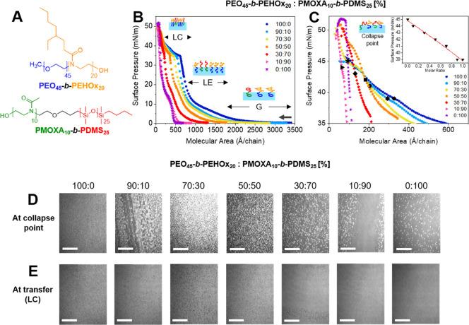 https://cdn.ncbi.nlm.nih.gov/pmc/blobs/f877/9284607/14d698e728c4/nl2c00332_0002.jpg