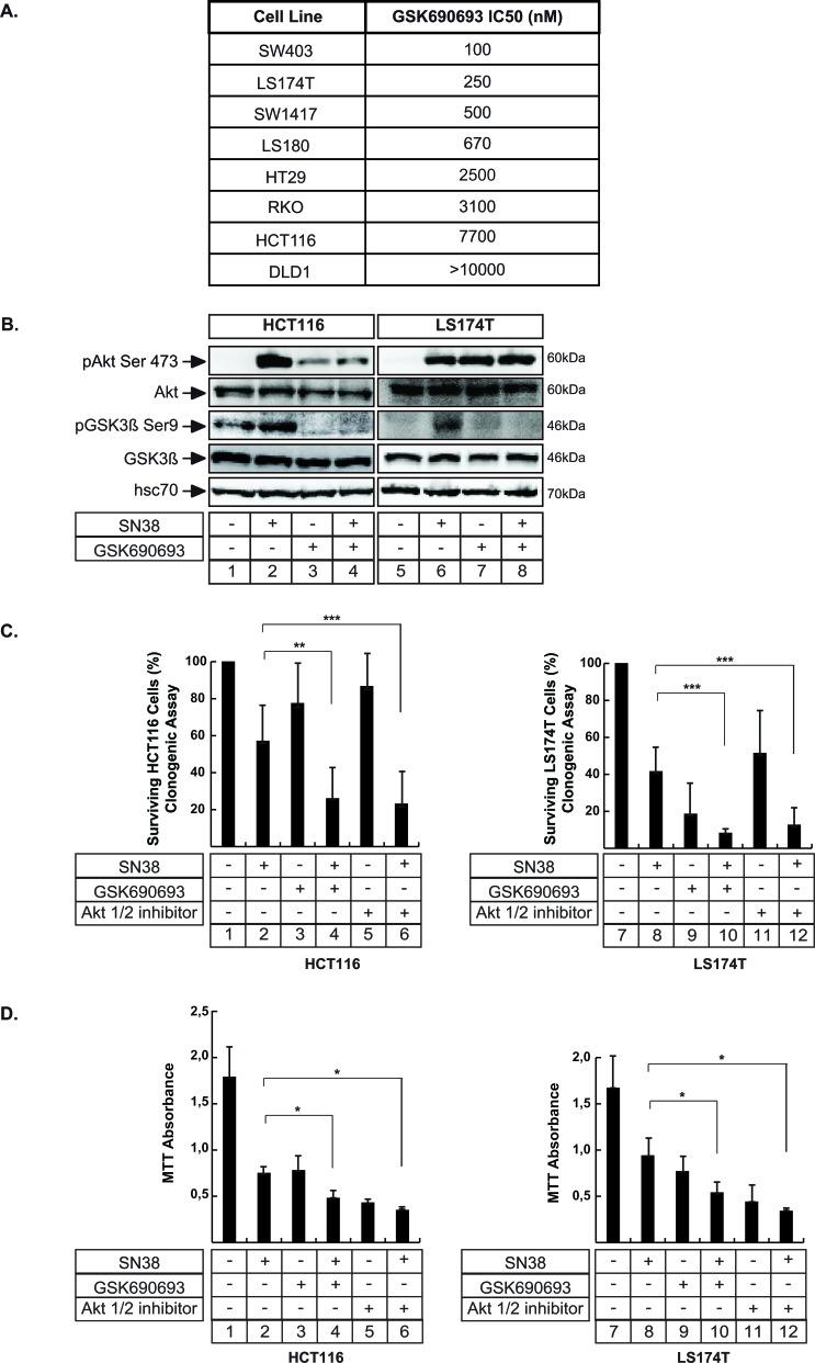 https://cdn.ncbi.nlm.nih.gov/pmc/blobs/f87a/4791236/56cfc0ac9026/oncotarget-06-43342-g002.jpg