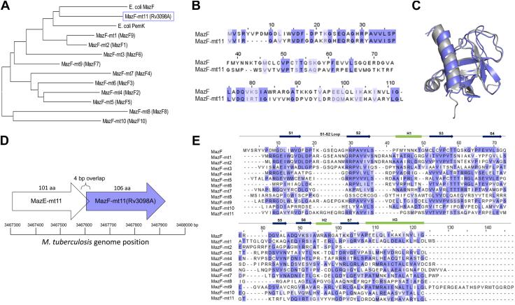 https://cdn.ncbi.nlm.nih.gov/pmc/blobs/f87b/12274833/268ca05ab956/gr1.jpg