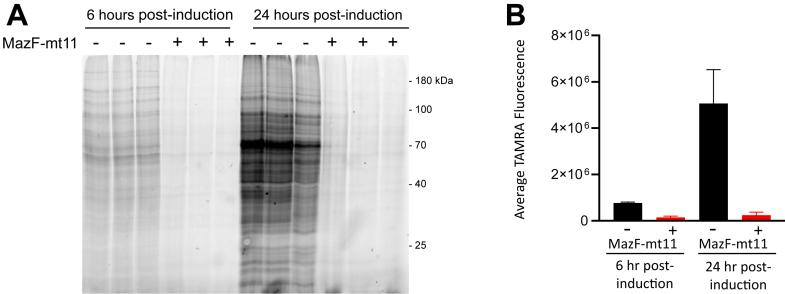 https://cdn.ncbi.nlm.nih.gov/pmc/blobs/f87b/12274833/dfab16694e07/gr6.jpg