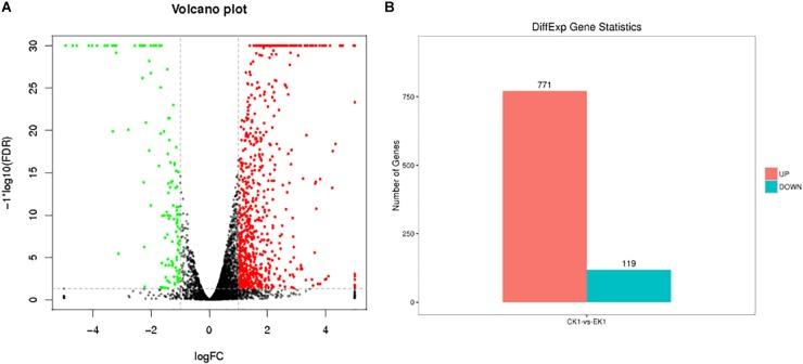 https://cdn.ncbi.nlm.nih.gov/pmc/blobs/f87b/6547871/a37cd058c372/fmicb-10-01159-g002.jpg
