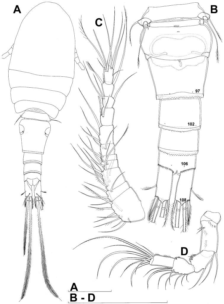https://cdn.ncbi.nlm.nih.gov/pmc/blobs/f87d/3591758/42e4c19ed308/ZooKeys-267-001-g001.jpg
