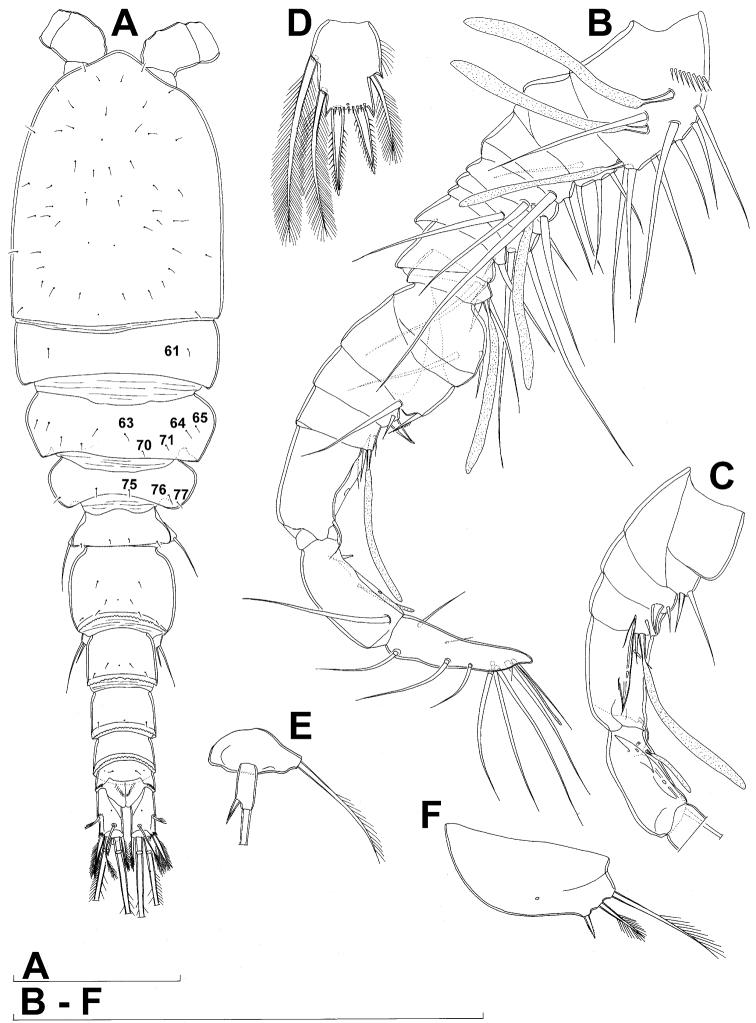 https://cdn.ncbi.nlm.nih.gov/pmc/blobs/f87d/3591758/70035012bdaf/ZooKeys-267-001-g004.jpg