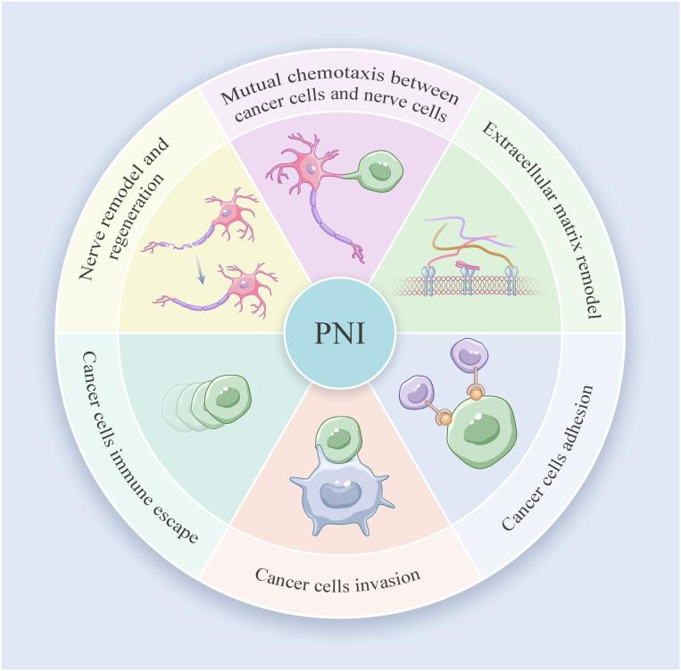 https://cdn.ncbi.nlm.nih.gov/pmc/blobs/f87e/11307098/9295516e593e/fonc-14-1421067-g003.jpg